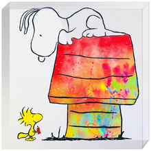 Load image into Gallery viewer, Spraypainting Snoopy Acrylic Block