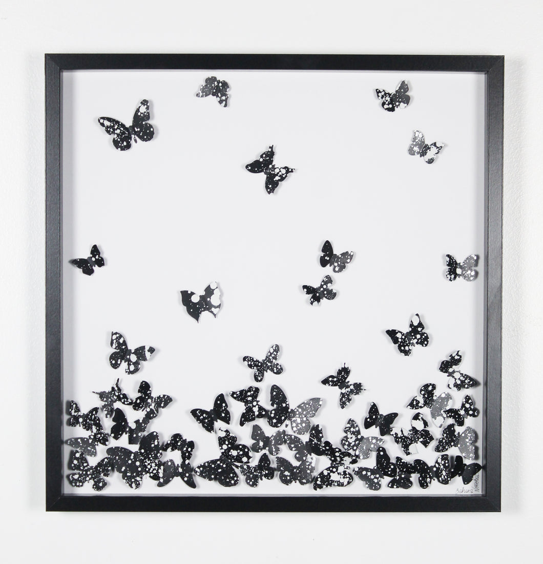 Black With White Specs 3D Framed Butterflies