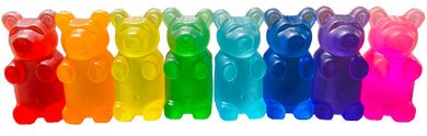 Rainbow Bear Squad